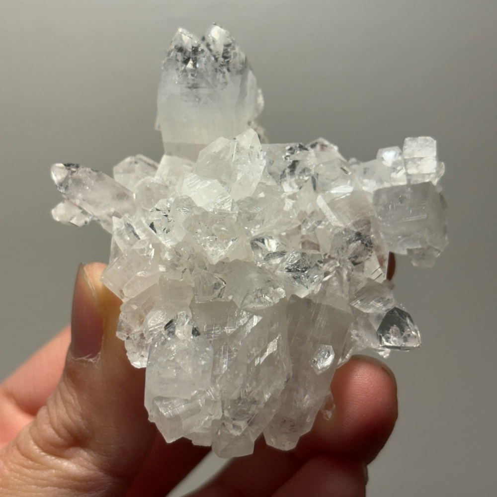 Apophyllite Specimen #F